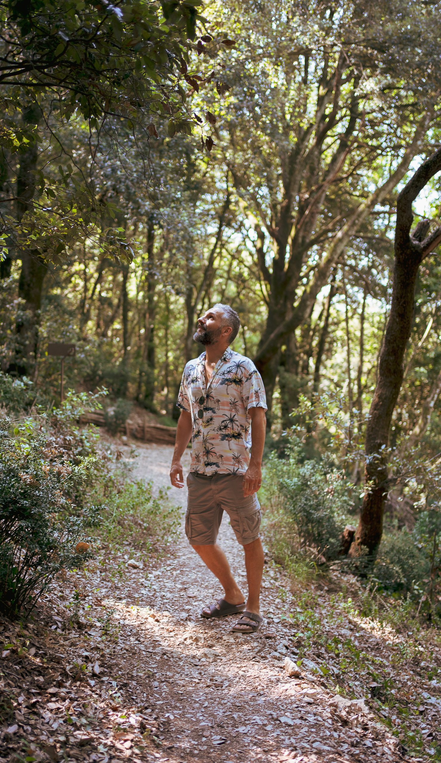 Luca Rondelli che cammina in un sentiero nel bosco, immagine simbolica di crescita personale e percorso interiore